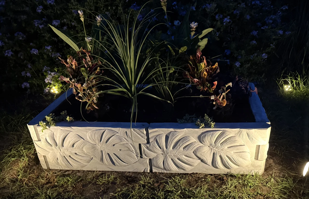 Concrete raised garden bed illuminated among plants at night