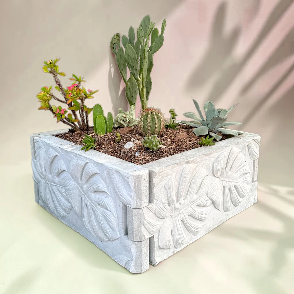 A four-panel concrete raised bed planted with cacti and succulents