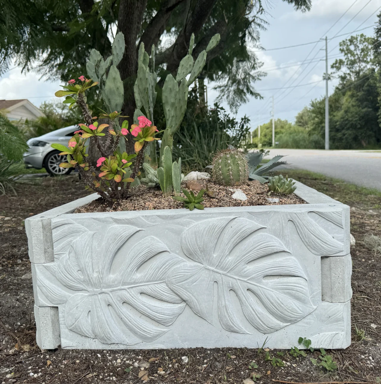 Leaf-pattern concrete raised bed planted with cacti and bright pink flowers